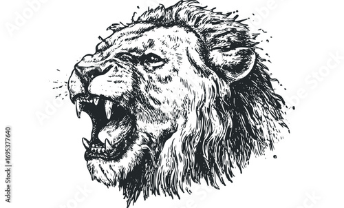 Roaring lion head sketch image on transparent background. Vector hand drawn illustration