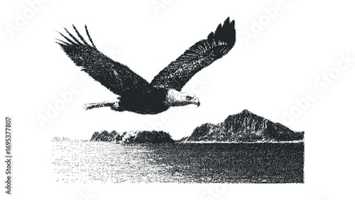 Eagle flying over ocean and rocky islands,. Vector hand drawn illustration