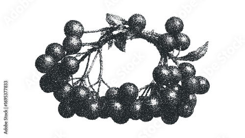 Pungent Dark Berry Cluster Image. Vector hand drawn illustration