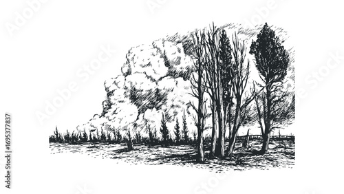 Forest fire smoke plume and charred trees line drawing. Vector hand drawn illustration