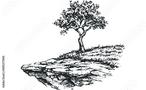 Lone tree on rocky cliff edge with grass sketch. Vector hand drawn illustration