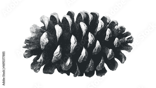 Pinecone Halftone Texture Transparent. Vector hand drawn illustration