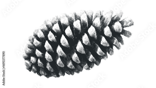 Stipple effect pinecone isolated on white transparent. Vector hand drawn illustration
