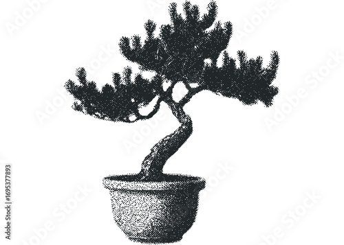 Textured Silhouette of a Potted Pine Bonsai Tree on Transparent Background. Vector hand drawn illustration