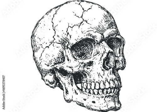 Hand Drawn Skull with Cracks and Jagged Lines. Vector hand drawn illustration