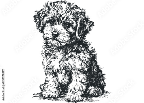 Pen sketch of a fluffy dog puppy sitting on a white. Vector hand drawn illustration