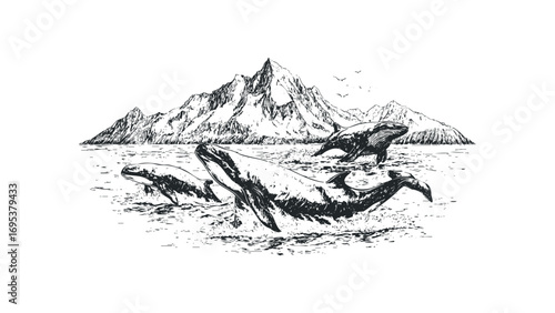 Three whales breaching in choppy ocean waves with mountainous landscape behind. Vector hand drawn illustration