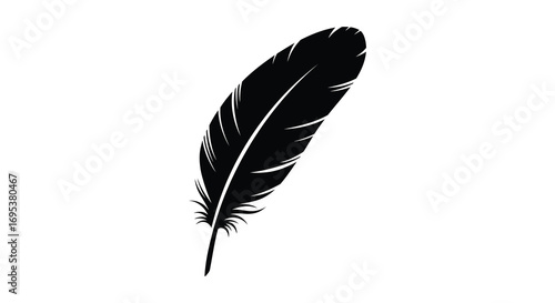 a single black feather floating against white background