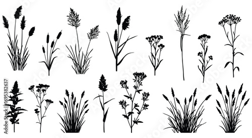 various plants and grasses depicted in black silhouette art