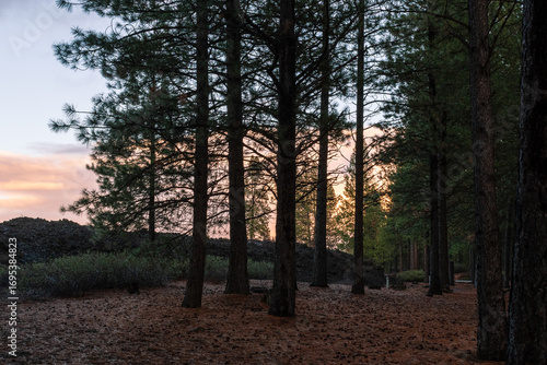 Volcanic Landscape in Autum Light, Newberry National Monument, Oregon, USA