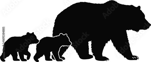 Silhouette of mother bear walking with two cubs in wildlife nature scene isolated on white background, family animal vector illustration