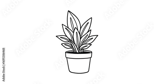 a simple sketch of a potted plant with long leaves