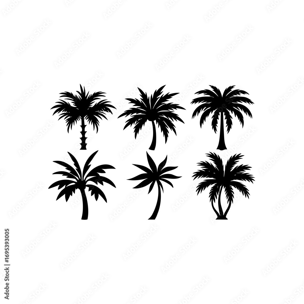 Obraz premium 6 different tropical palm ornament silhouette vect