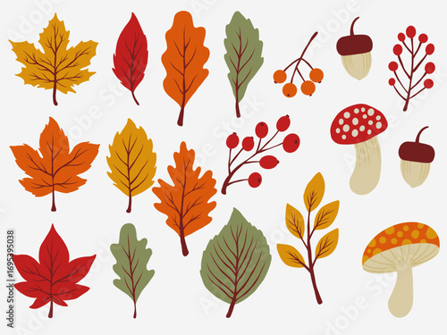 Set of autumn doodle dry leaves element including, berries mushroom and acorn.Fall leaves hand drawn element design.