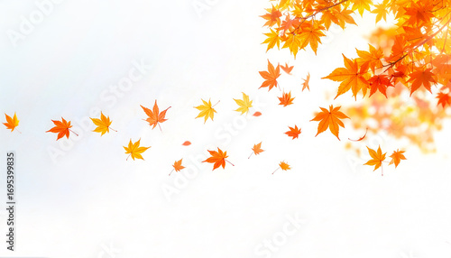Wallpaper Mural 風に舞う秋の紅葉の葉　白J背景の秋素材　generative ai Torontodigital.ca