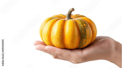 A hand holding a pumpkinTransparent background, PNG file