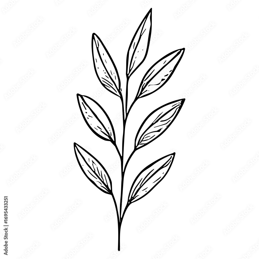 Tall Leafy Shoot