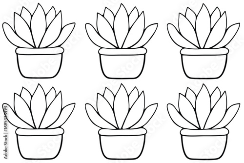 Potted succulent plants line art green illustration