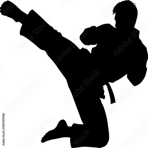 Dynamic Silhouette of a Martial Artist in Action: A powerful silhouette captures a martial artist executing a dynamic high kick, embodying strength, agility, and the discipline of martial arts.