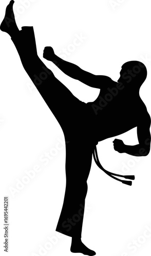 capoeira silhouette brazilian martial art, dynamic movement, cultural heritage, isolated on transparent background