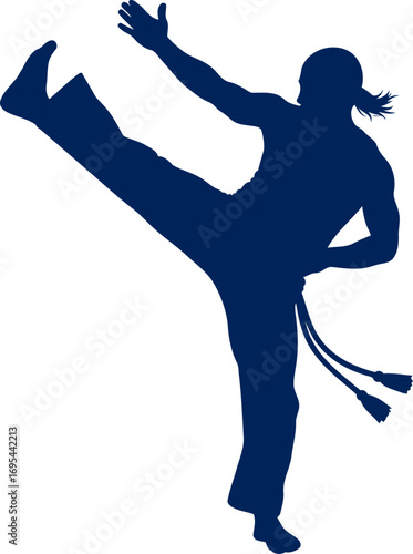 capoeira silhouette dynamic kicks, brazilian art, powerful movement, isolated on transparent background
