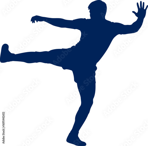 dynamic silhouette of a capoeira practitioner brazilian martial art, acrobatics, and flow, isolated on transparent background