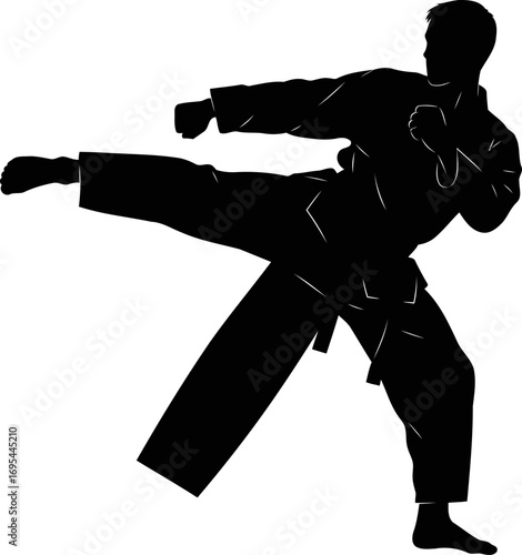 the karate kid silhouette mastering the high kick, dynamic power, and martial arts grace, isolated on transparent background