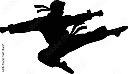 the karate kids silhouette a dynamic flying kick, power, and grace, isolated on transparent background