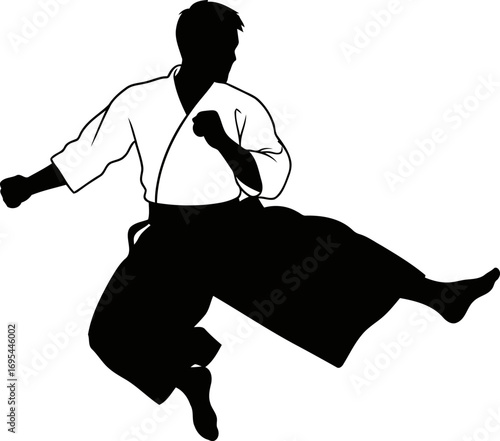 aikido master dynamic silhouette of grace, power, and martial arts expertise, isolated on transparent background