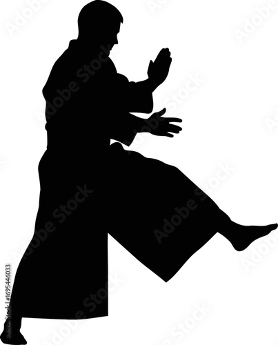 aikido master silhouette of focused strength, effortless grace, and precise movement, isolated on transparent background