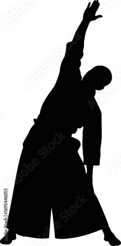 aikido silhouette the focused grace of a martial artist, isolated on transparent background