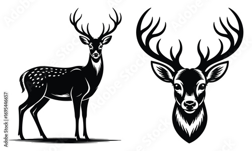 silhouette of a deer