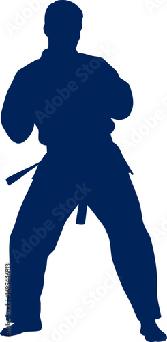 martial arts silhouette the silent strength, focused intensity, and the promise of victory, isolated on transparent background