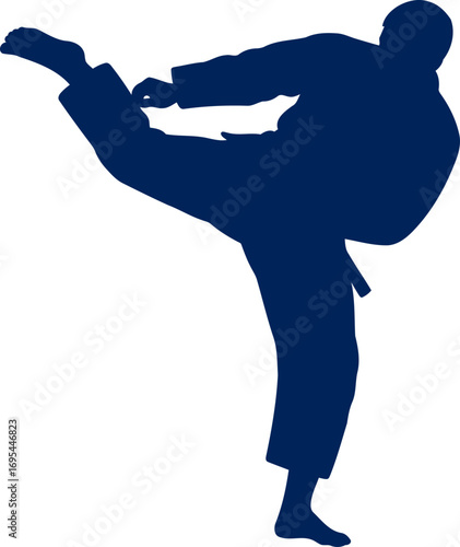martial arts silhouette the focused kick, power, precision, and the grace of selfdiscipline, isolated on transparent background