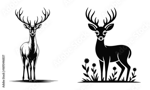 silhouette of deer
