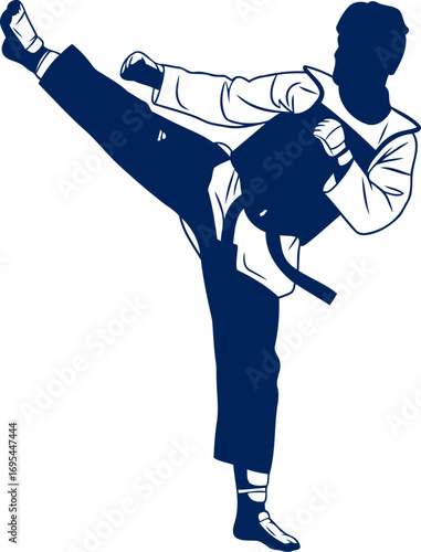 taekwondo silhouette the forceful impact, the graceful arc, and the unwavering spirit, isolated on transparent background