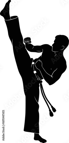 the capoeira silhouette a dynamic kick, grace, power, and brazilian art, isolated on transparent background