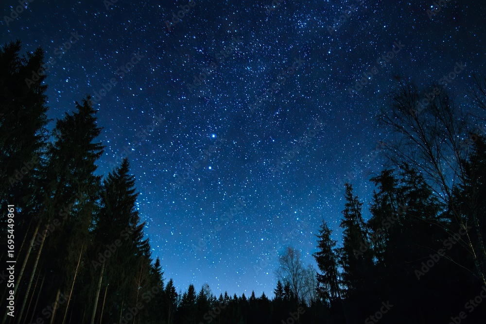 Fototapeta premium Starry night sky over a dark forest (1)