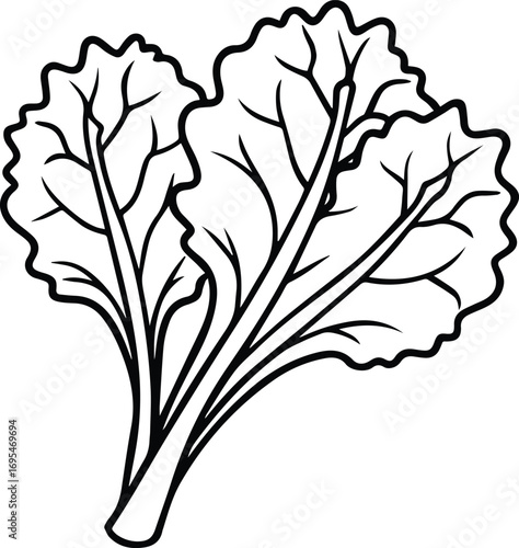 mustard greens vegetables line art, black outline, vector and illustration