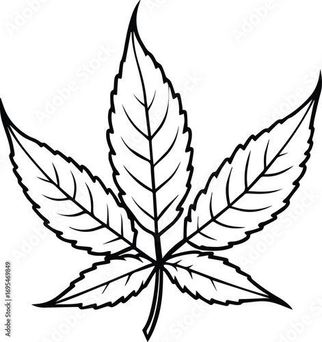 neem leaves line art, black outline, vector and illustration