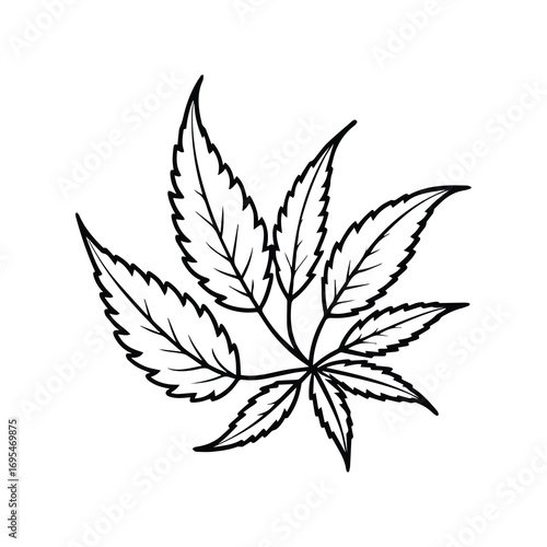 neem leaves line art, black outline, vector and illustration