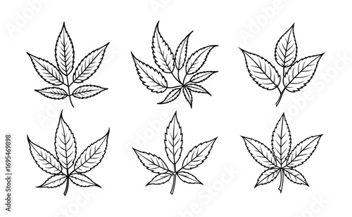 Set of neem leaves line art, black outline, vector and illustration