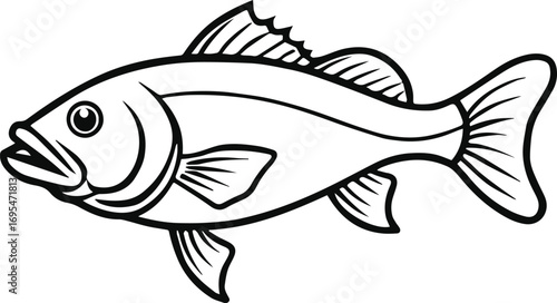 largemouth bass line art, black outline, vector and illustration