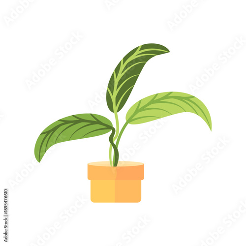 Decorative house plants with pot isolated. interior plant vector, flat icon design Cartoon potted green plants flowers