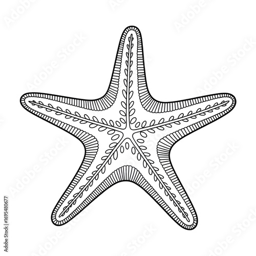 A starfish illustration vector style coloring page