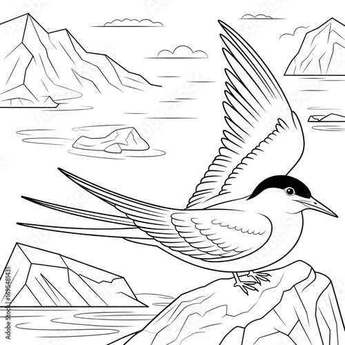 A artic tern illustration vector style coloring page