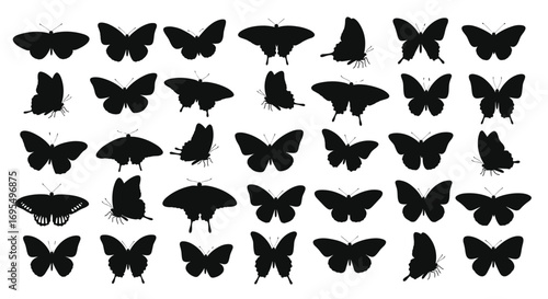 Elegant butterfly silhouettes collection for creative designs, invitations, or branding projects needing nature accents
