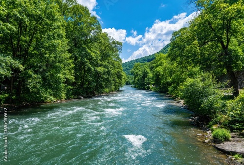 Scenic river flowing through a lush green forest under a bright blue sky with scattered clouds, creating a serene and natural landscape