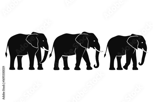 Elephant vector illustration of a large wild animal walking in nature