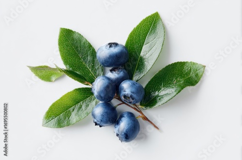 Close-up view of fresh blueberries on small green leaves, top-down on a white backdrop, capturing light